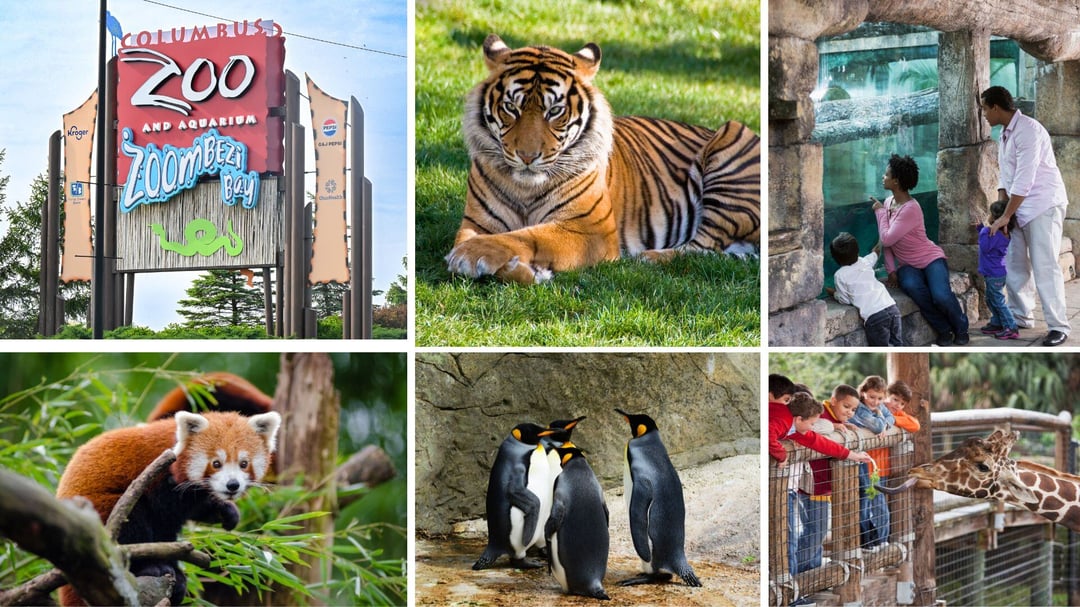 Columbus Zoo and Aquarium 