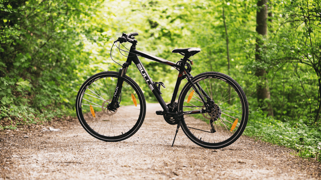 Blankets Creek Trails