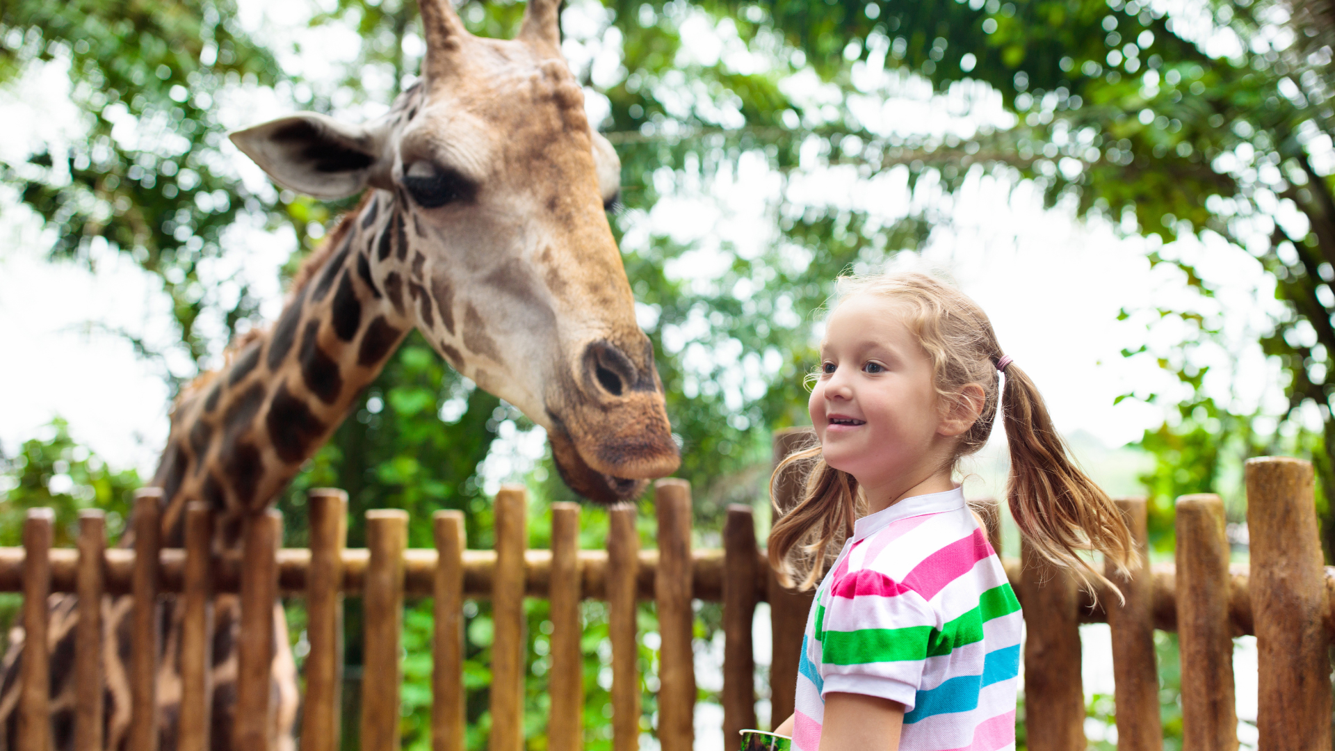 Columbus Zoo and Aquarium 