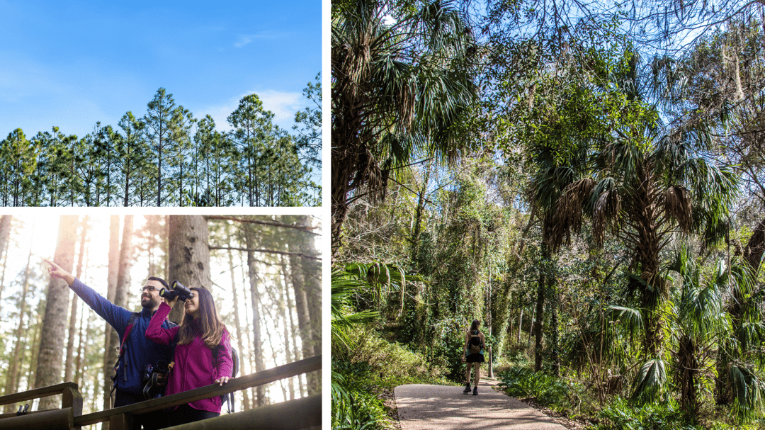 Panama City Beach Conservation Park 