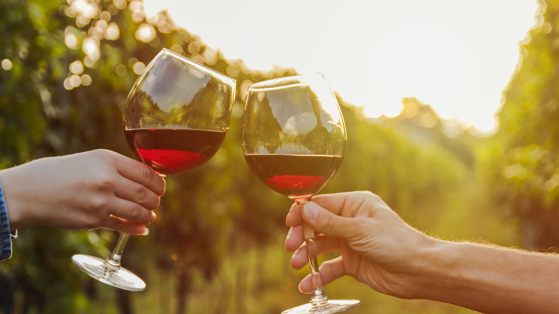 Three Strand Vineyard-1 