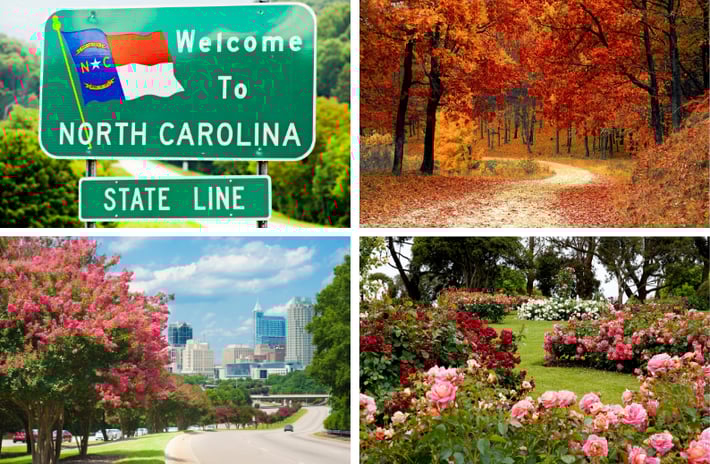 New homes in Raleigh, North Carolina