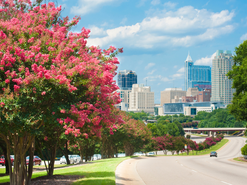 Raleigh City in Springtime. Fischer Homes, new home building. Image provided by Dennis Ludlow via Canva Pro.