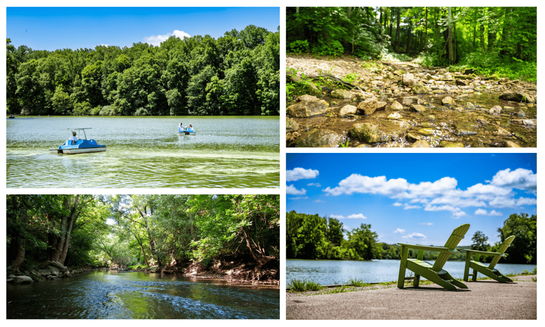 Miami Whitewater Forest
