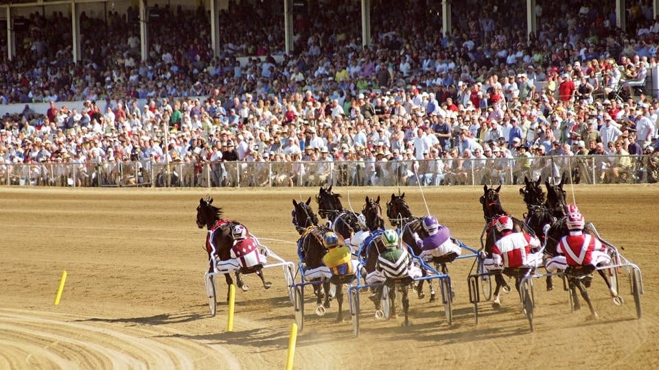 brown-jug-derby