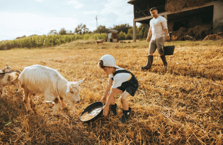 McGlasson Farms