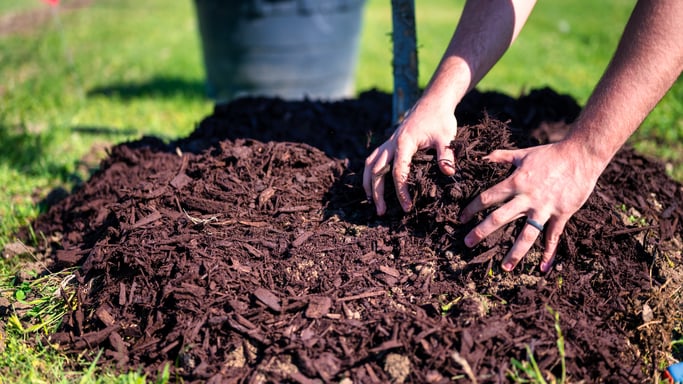 fundamentally horrifying mulch