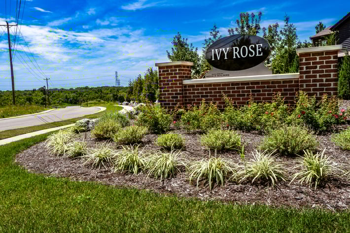 ivy-rose_entry_0fh7744_community