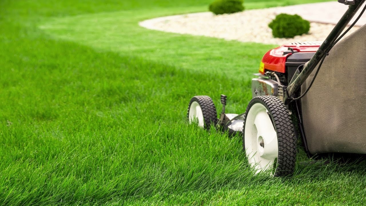 Lawn mower mowing green grass