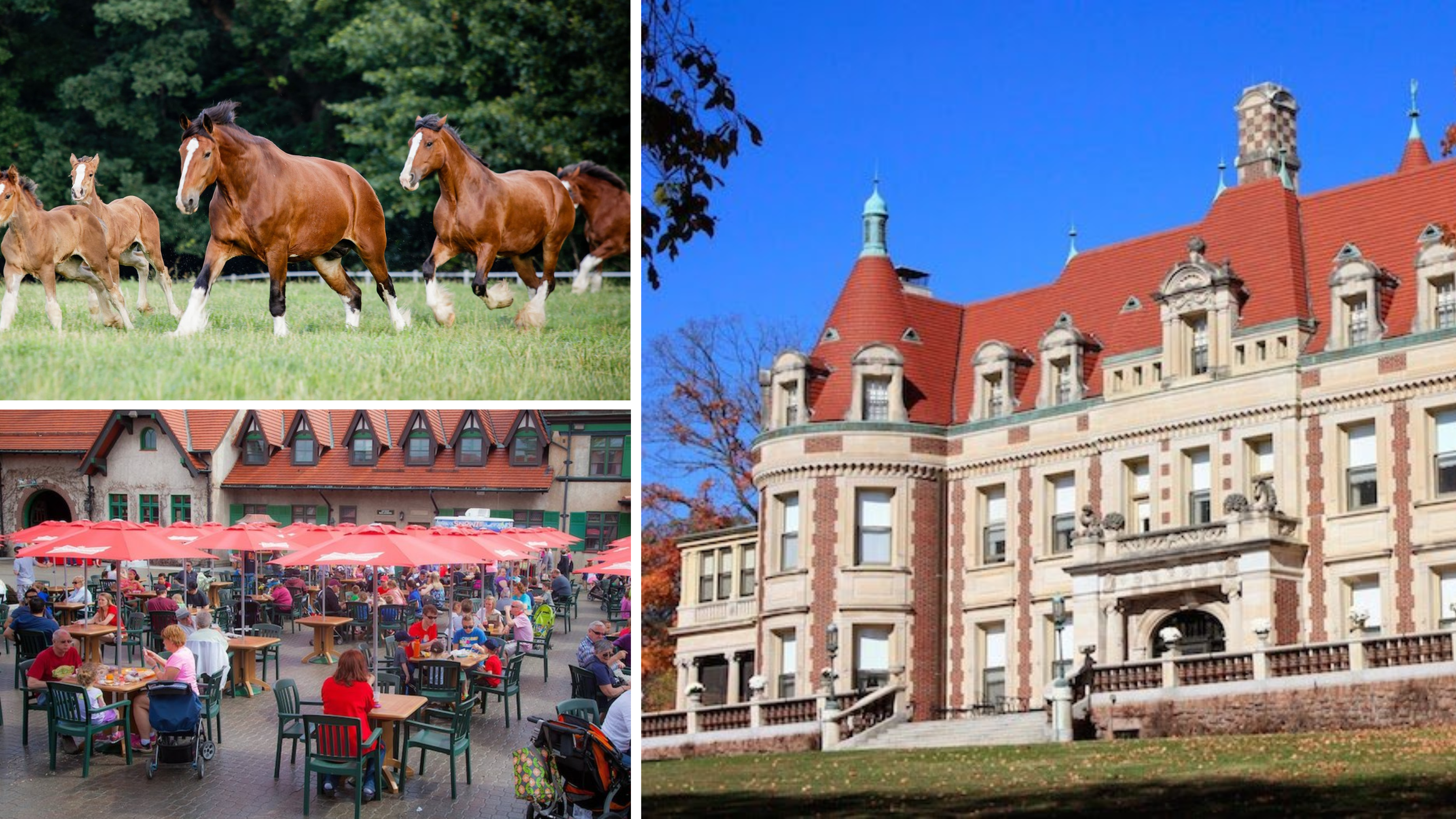 10 Things to Do in Affton, Missouri