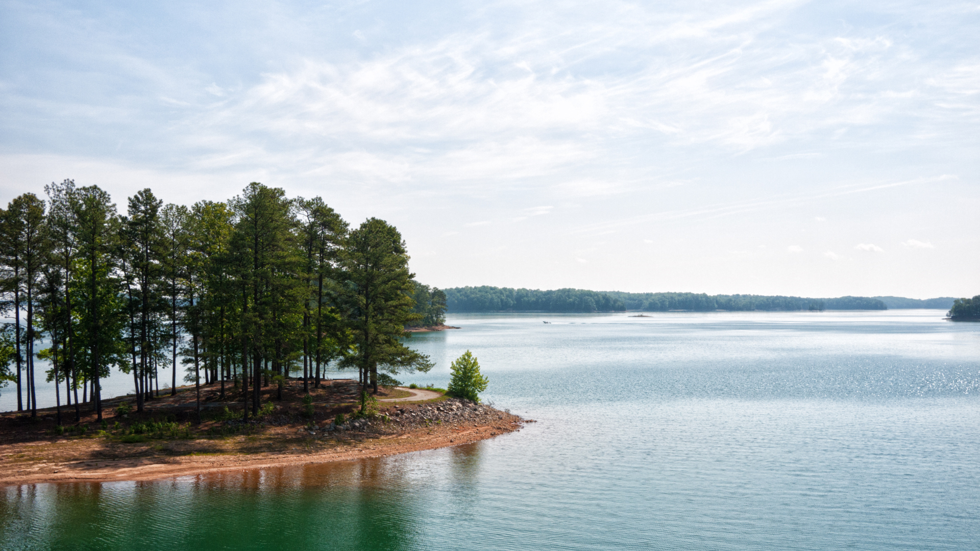 8 Things to Love in Dawsonville, Georgia!