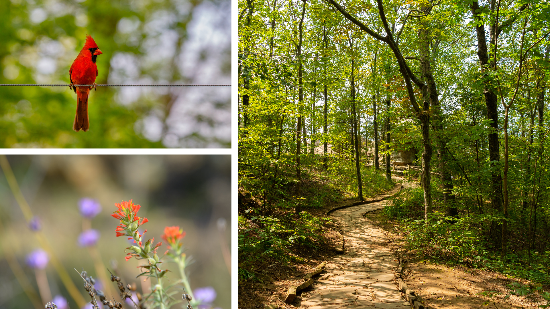 9 Things to Love in Vandalia, Ohio!