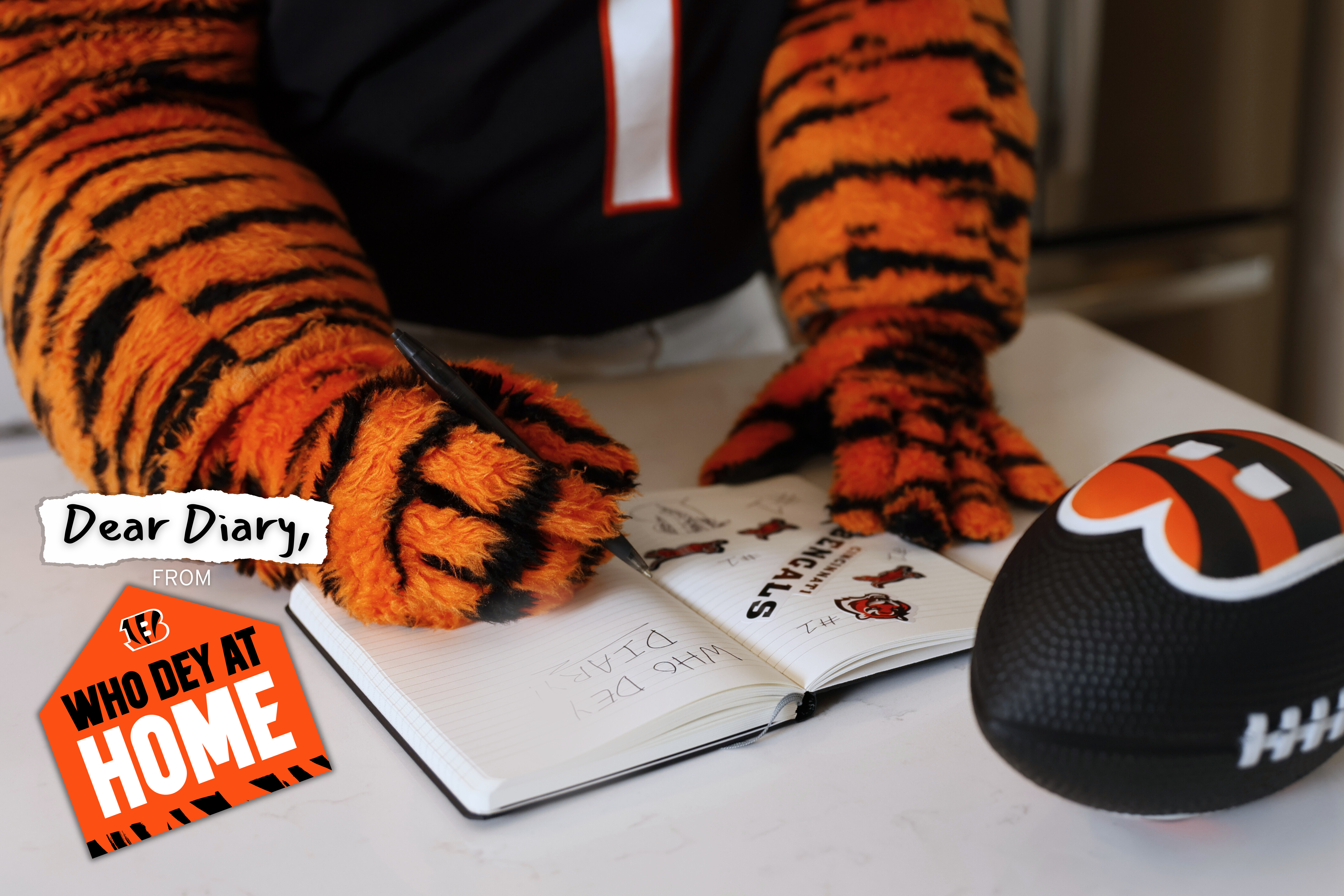 Dear Diary from Who Dey at Home