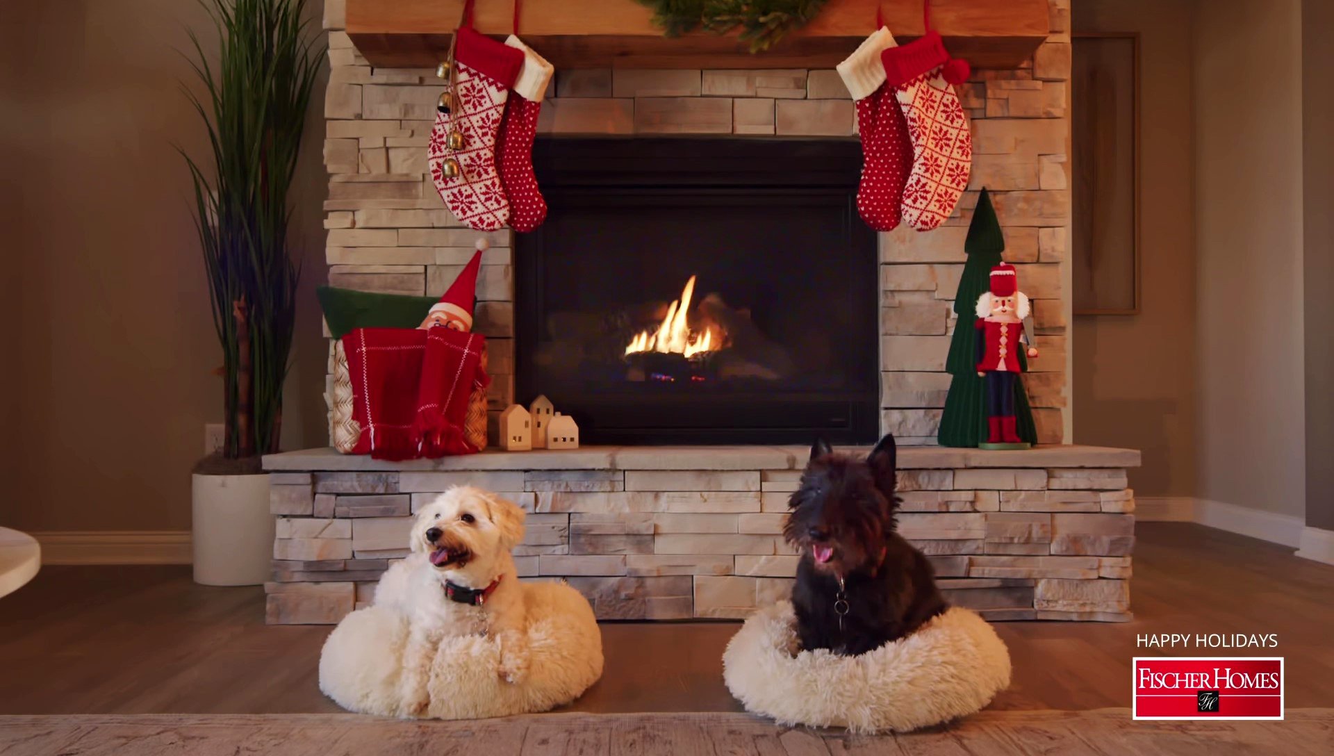 Home for the Paw-lidays | Cozy Background