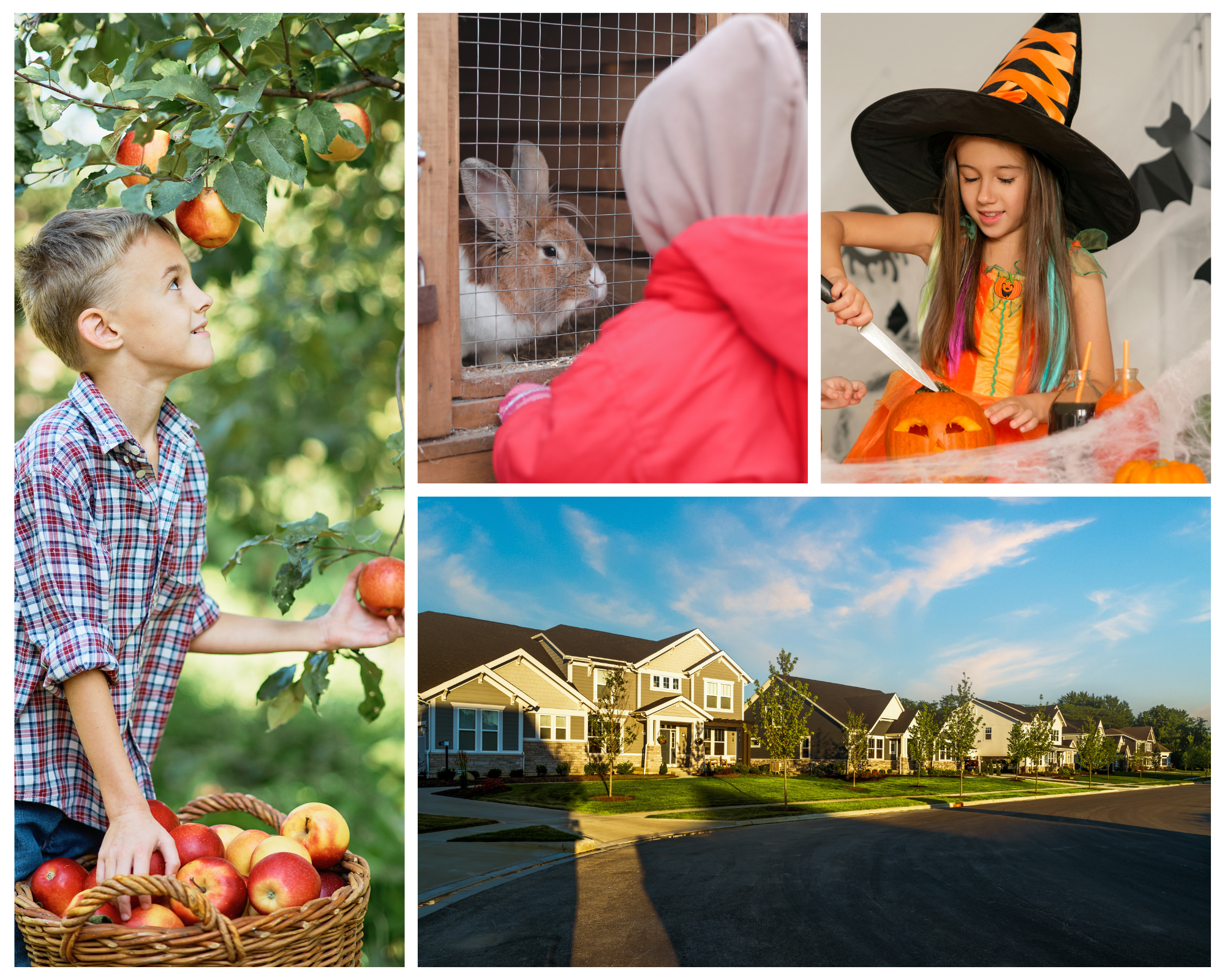 Boo!! Can you believe that Halloween is already here? To kick off the holidays to come, we have compiled a list of some tips and tricks of things to remember to make this Halloween with Fischer Homes SPOOK-TACULAR! 