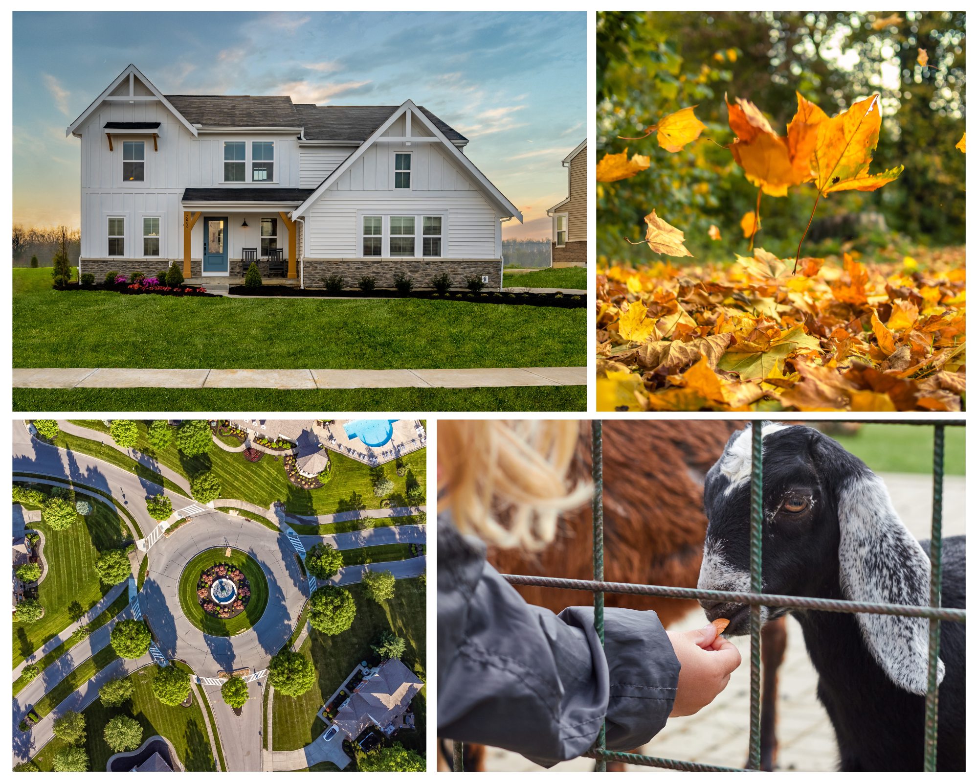 Join us on Sunday, September 18 from 2 to 4pm for our Fischer Homes Fall Festival in Independence, KY!