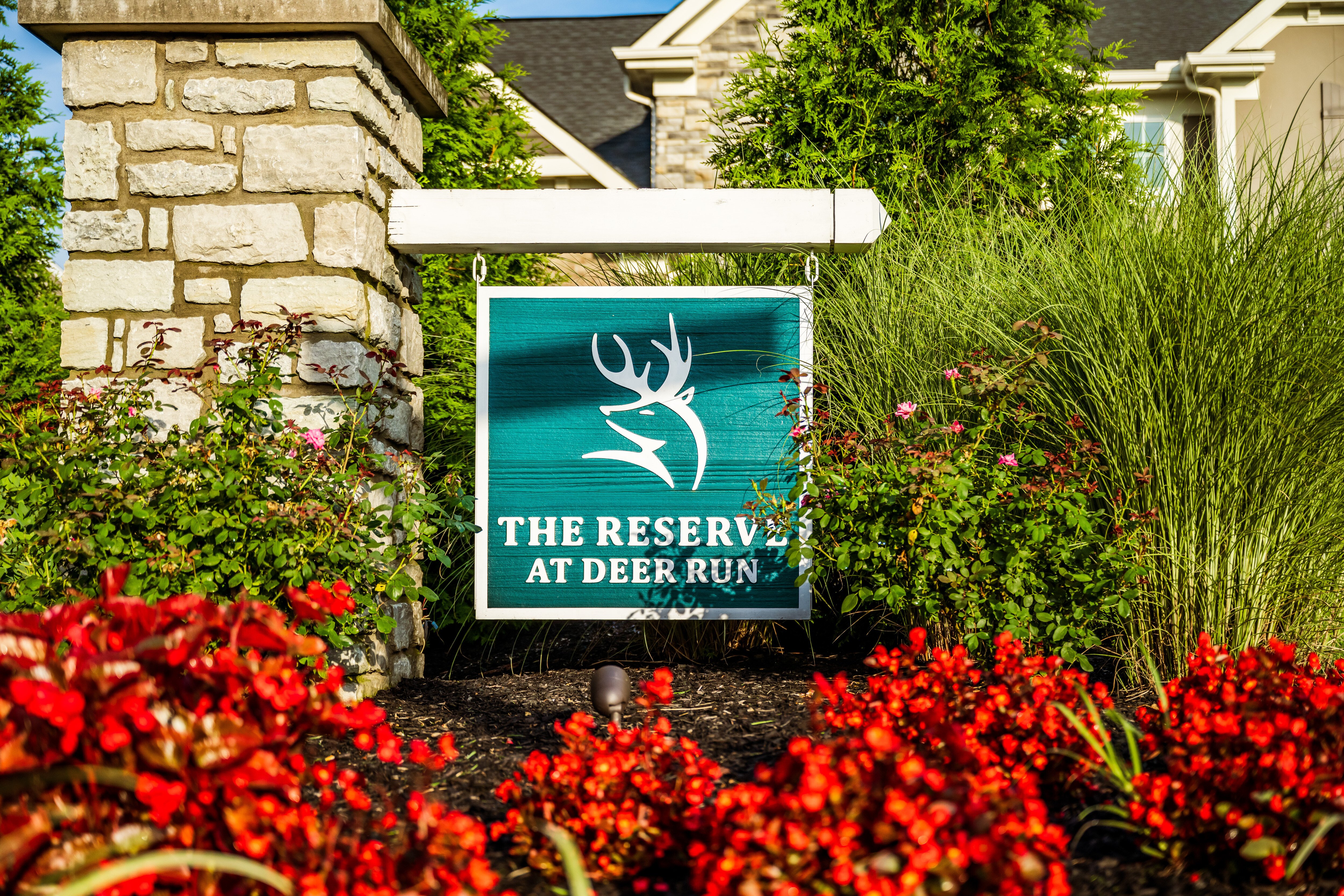 Shamrock Hunt and Home Tour in Cincinnati, OH!